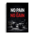 No Pain No Gain" Gritty Gym Equipment Motivational Framed Graphic Art Poster